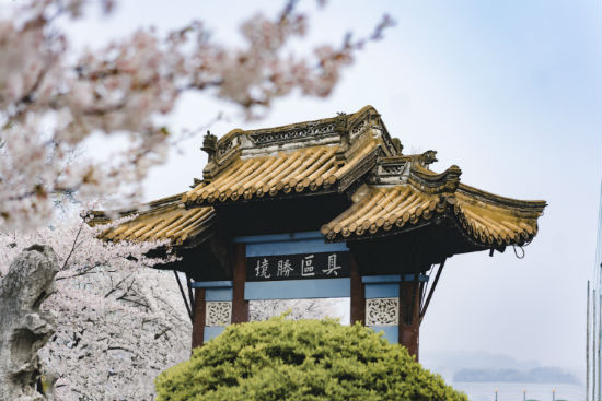 淮安專升本哪個(gè)培訓(xùn)機(jī)構(gòu)好？靠譜嗎？