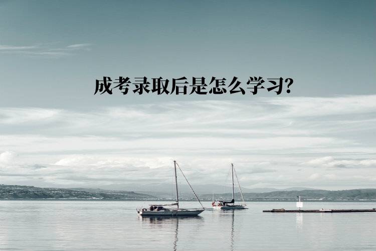 成考錄取后是怎么學(xué)習(xí)？