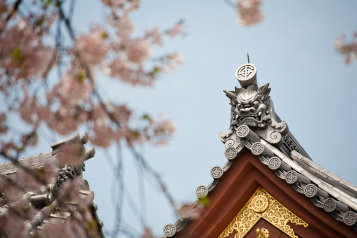 平頂山提升學(xué)歷方式哪種好？學(xué)歷提升招生學(xué)校有多少？
