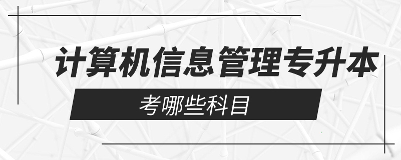 計算機(jī)信息管理專升本考哪些科目