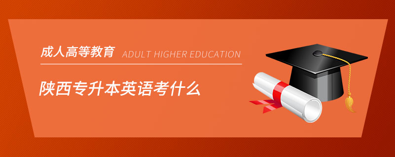 陜西專(zhuān)升本英語(yǔ)考什么