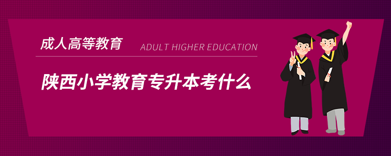 陜西小學教育專升本考什么