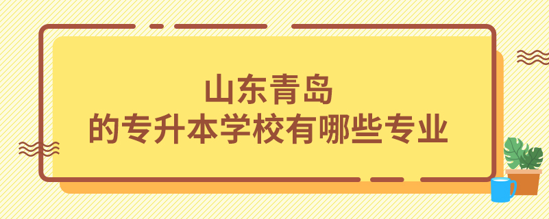 山東青島的專(zhuān)升本學(xué)校有哪些專(zhuān)業(yè)