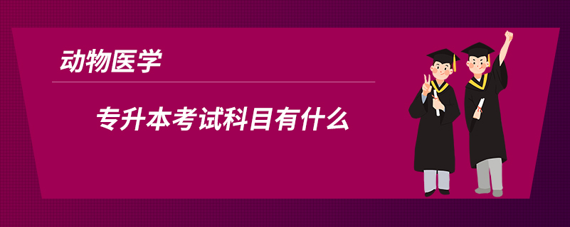 動(dòng)物醫(yī)學(xué)專升本考試科目有什么