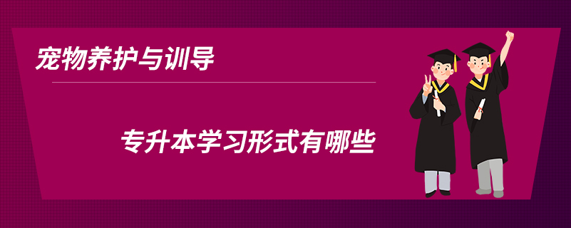 寵物養(yǎng)護與訓導專升本學習形式有哪些