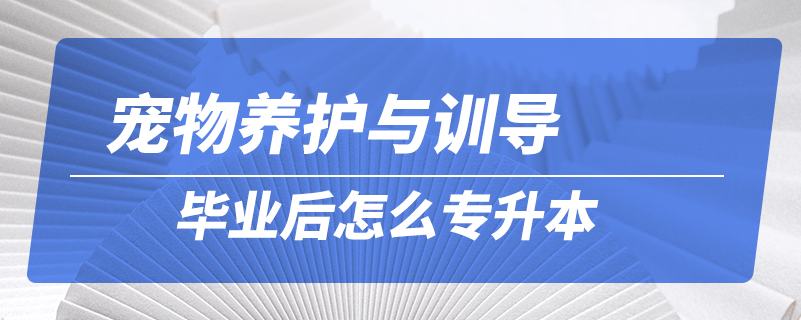 寵物養(yǎng)護與訓(xùn)導(dǎo)畢業(yè)后怎么專升本