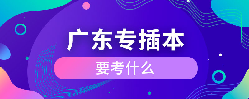廣東專(zhuān)插本要考什么