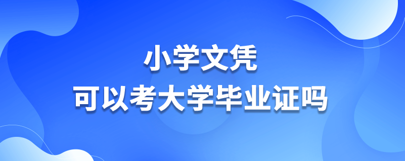 小學文憑可以考大學畢業(yè)證嗎