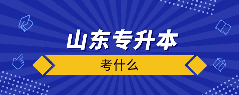 山東專升本計算機考什么