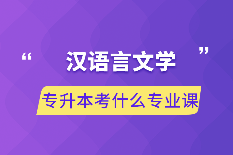 漢語(yǔ)言文學(xué)專升本考什么專業(yè)課