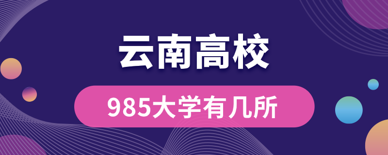 云南985大學(xué)有幾所