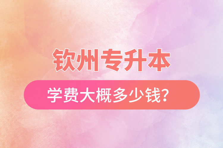 欽州專升本學費大概多少錢？