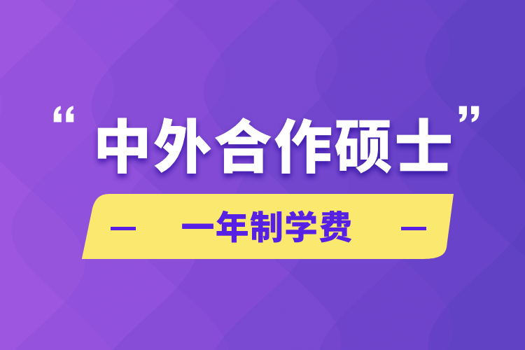 中外合作碩士一年制學(xué)費(fèi)