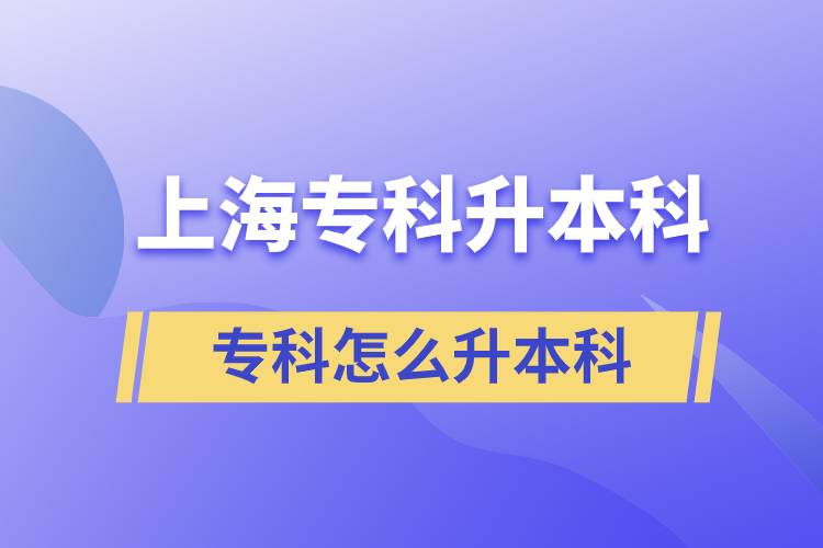 上海?？圃趺瓷究? /></p><p style=