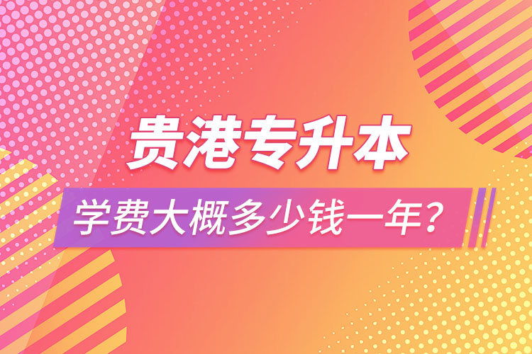 貴港專升本學(xué)費(fèi)大概多少錢一年？