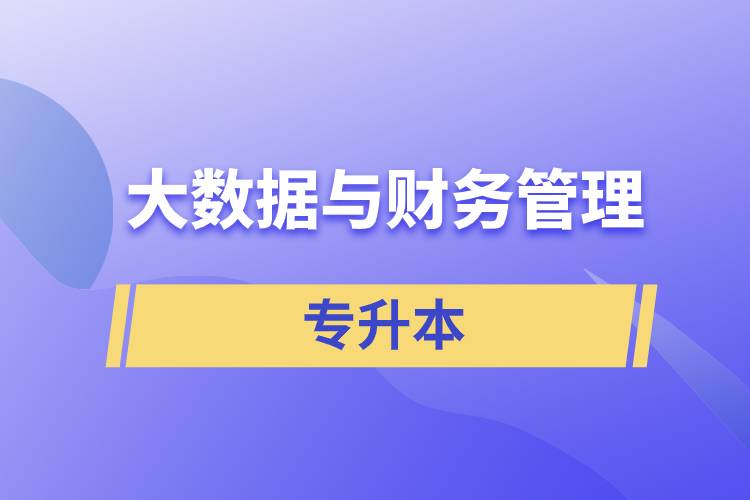 大數(shù)據(jù)與財務管理專升本