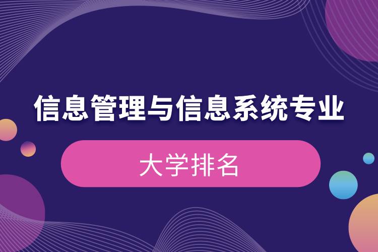 信息管理與信息系統(tǒng)專(zhuān)業(yè)的大學(xué)排名