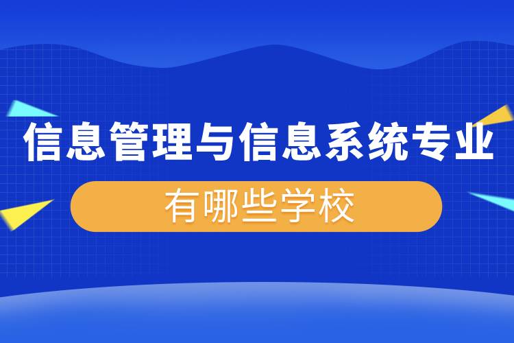 信息管理與信息系統(tǒng)專業(yè)有哪些學校