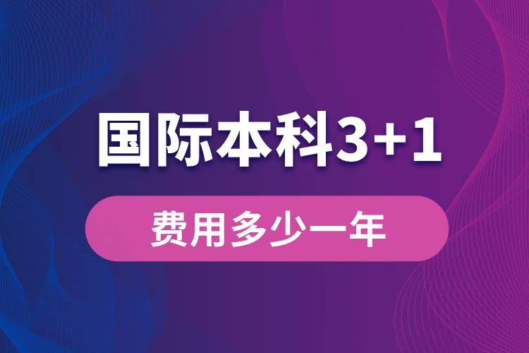 國際本科3+1費(fèi)用多少一年