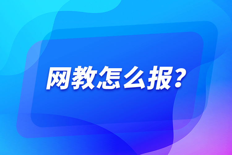 網(wǎng)教怎么報？