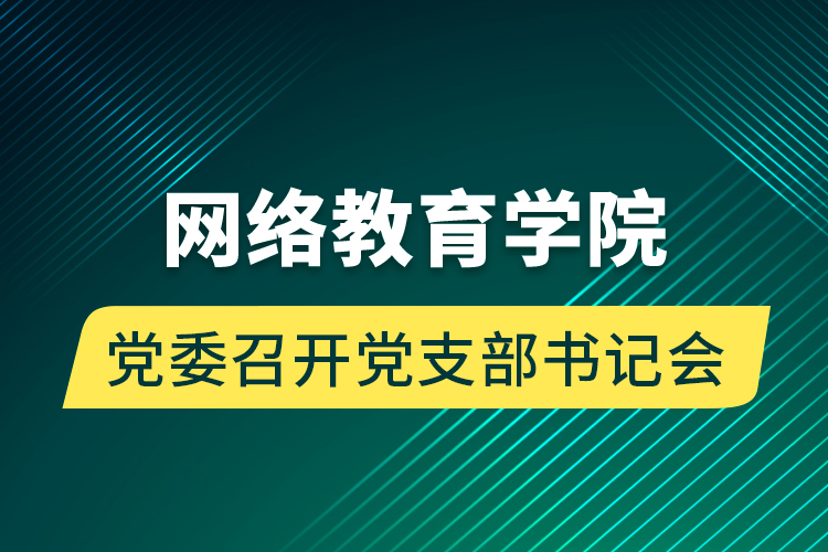 網(wǎng)絡(luò)教育學(xué)院黨委召開黨支部書記會