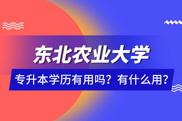 東北農業(yè)大學專升本學歷有用嗎？有什么用？