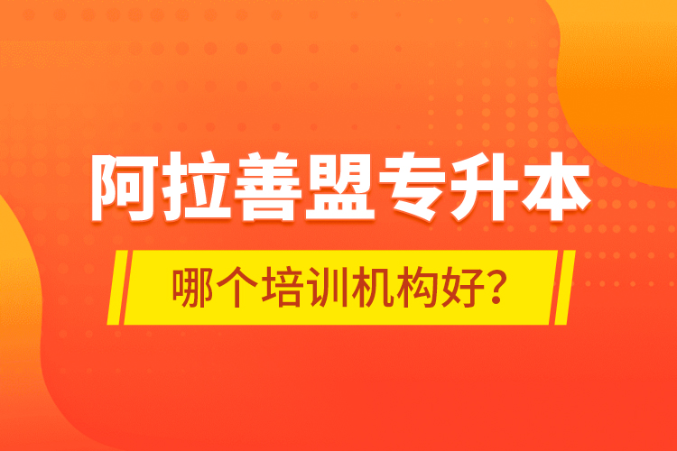 阿拉善盟專升本哪個培訓機構好？