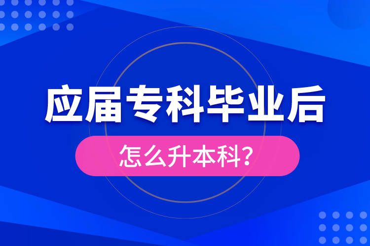 應(yīng)屆?？飘厴I(yè)后怎么升本科？