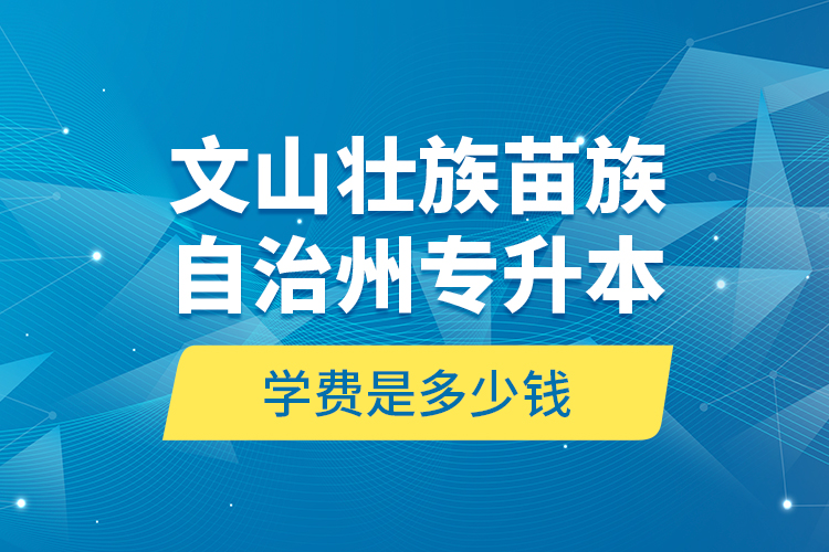 文山壯族苗族自治州專升本學(xué)費(fèi)是多少錢？