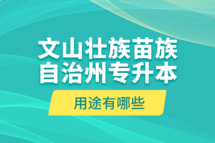 文山壯族苗族自治州專升本的用途有哪些？