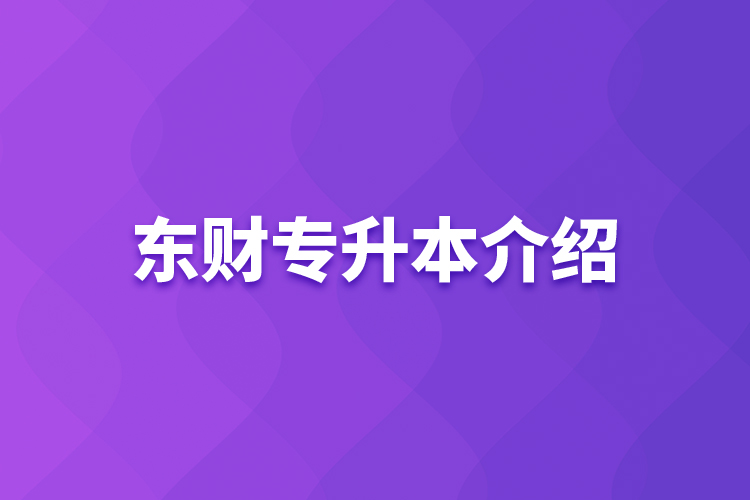 東財專升本介紹