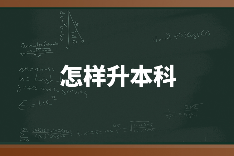 怎樣升本科？